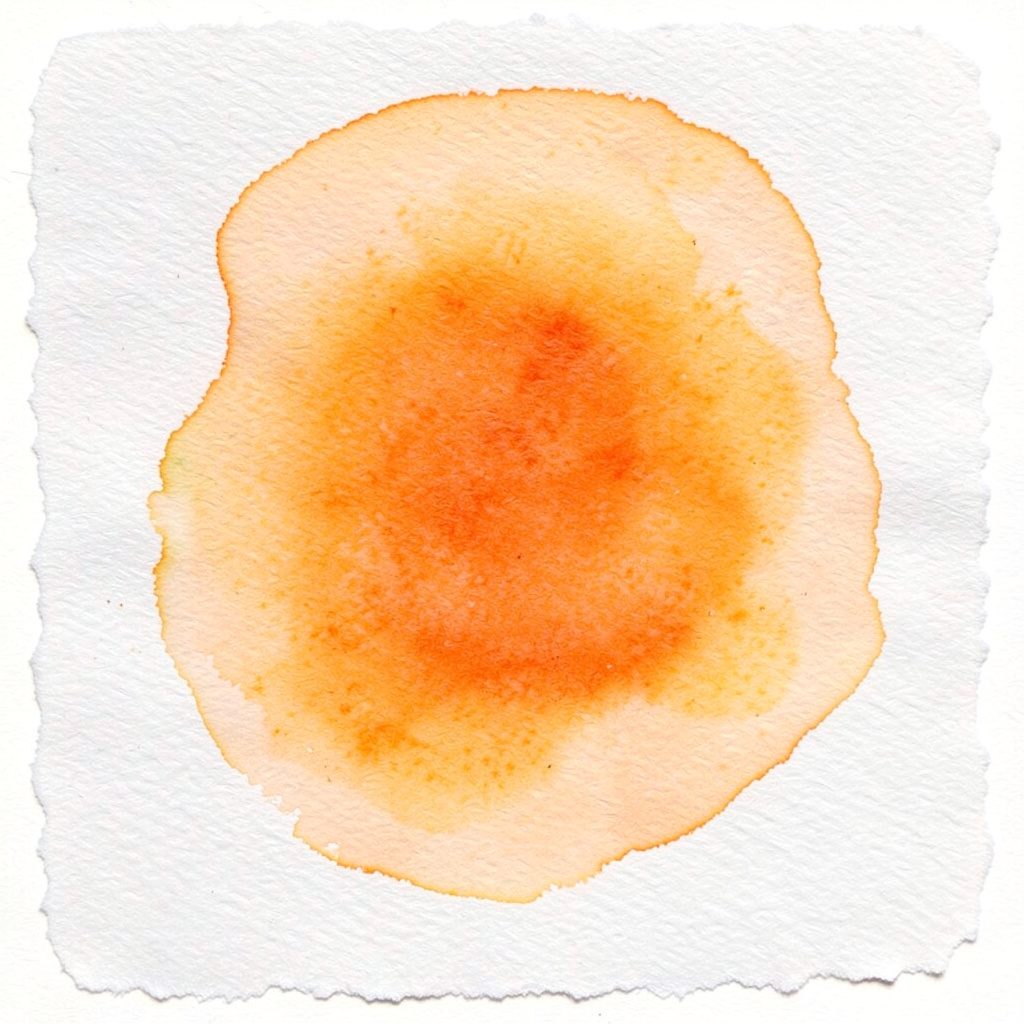 A soft watercolour painting of a globe resting on stacked books, with gentle gold highlights against a deep navy background, conveying global learning.
